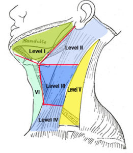 Physical Therapy - My Oral Cancer Support